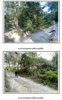https://ww.ohoproperty.com/1401/ธนาคารกรุงไทย/ขายที่ดินเปล่า/หน้าเมือง/เกาะสมุย/สุราษฎร์ธานี/