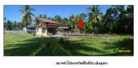 https://ww.ohoproperty.com/1394/ธนาคารกรุงไทย/ขายที่ดินพร้อมสิ่งปลูกสร้าง/ตลิ่งงาม/เกาะสมุย/สุราษฎร์ธานี/