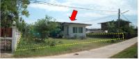 https://ww.ohoproperty.com/2714/ธนาคารกรุงไทย/ขายบ้านเดี่ยว/รอบเมือง/เมืองร้อยเอ็ด/ร้อยเอ็ด/