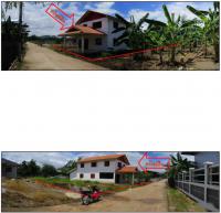 https://ww.ohoproperty.com/542/ธนาคารกรุงไทย/ขายบ้านเดี่ยว/แม่กุ/แม่สอด/ตาก/