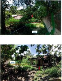 บ้านเดี่ยวหลุดจำนอง ธ.ธนาคารกรุงไทย เวียง ฝาง เชียงใหม่