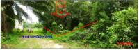https://ww.ohoproperty.com/2514/ธนาคารกรุงไทย/ขายที่ดินเปล่า/เหนือคลอง/เหนือคลอง/กระบี่/