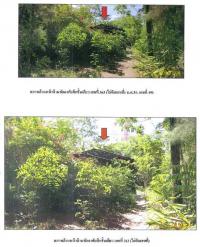 https://ww.ohoproperty.com/65420/ธนาคารกรุงไทย/ขายที่ดินพร้อมสิ่งปลูกสร้าง/ท่าทอง/กาญจนดิษฐ์/สุราษฎร์ธานี/