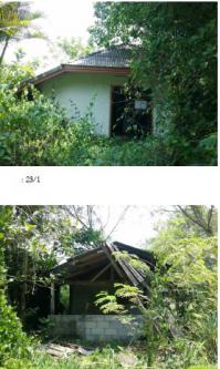 https://ww.ohoproperty.com/73781/ธนาคารกรุงไทย/ขายที่ดินพร้อมสิ่งปลูกสร้าง/หนองหงส์/ทุ่งสง/นครศรีธรรมราช/