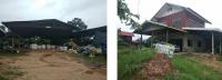 ที่ดินพร้อมสิ่งปลูกสร้างหลุดจำนอง ธ.ธนาคารกรุงไทย บ้านกอก เขื่องใน อุบลราชธานี