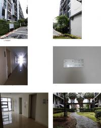 https://ww.ohoproperty.com/175034/ธนาคารกรุงไทย/ขายคอนโดมิเนียม/อาคารชุด/คลองกุ่ม/บึงกุ่ม/กรุงเทพมหานคร/