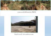 ที่ดินพร้อมสิ่งปลูกสร้างหลุดจำนอง ธ.ธนาคารกรุงไทย เมือง เมืองเลย เลย