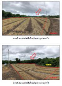 ที่ดินเปล่าหลุดจำนอง ธ.ธนาคารกรุงไทย นครเจดีย์ ป่าซาง ลำพูน