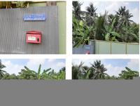 https://ww.ohoproperty.com/188205/ธนาคารกรุงไทย/ขายที่ดินพร้อมสิ่งปลูกสร้าง/ท้ายหาด/เมืองสมุทรสงคราม/สมุทรสงคราม/