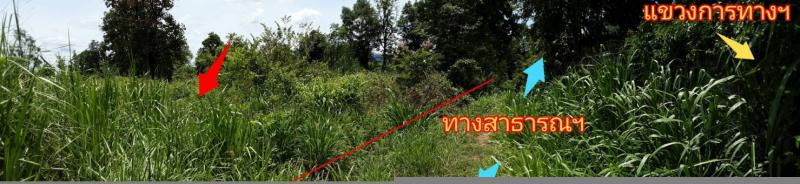 -  โพธิ์ชัย เมืองหนองบัวลำภู หนองบัวลำภู