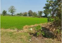 ที่ดินเปล่าหลุดจำนอง ธ.ธนาคารกรุงไทย นาทุ่ง สวรรคโลก สุโขทัย