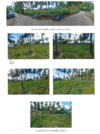 https://ww.ohoproperty.com/201107/ธนาคารกรุงไทย/ขายที่ดินเปล่า/หน้าเมือง/เกาะสมุย/สุราษฎร์ธานี/