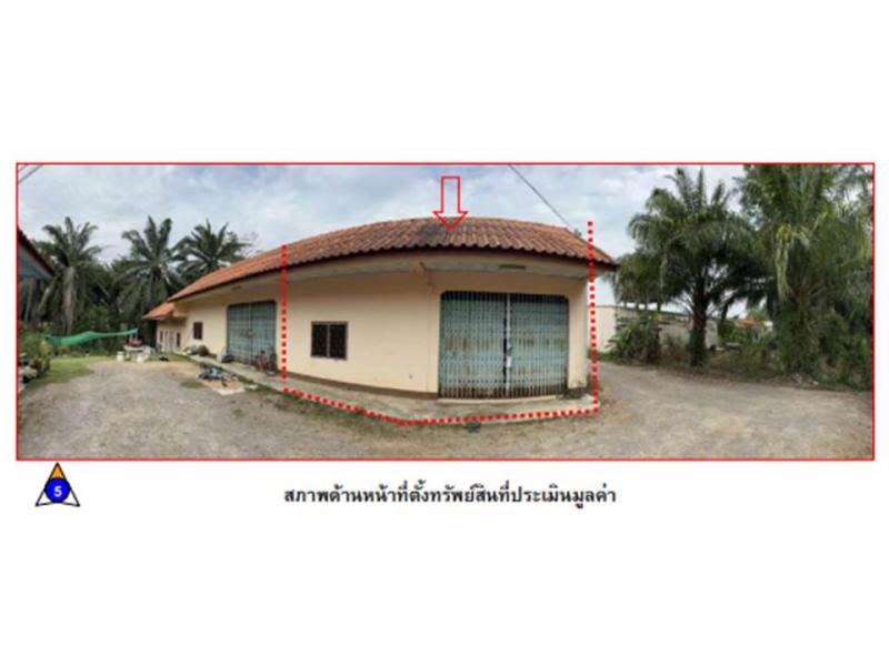 ดอนยาง ปะทิว ชุมพร