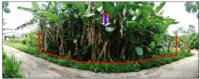 https://ww.ohoproperty.com/210043/ธนาคารออมสิน/ขายที่ดิน/วังตะกอ/หลังสวน/ชุมพร/