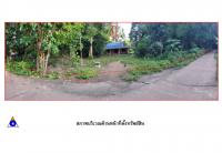 ที่ดินพร้อมสิ่งปลูกสร้างหลุดจำนอง ธ.ธนาคารออมสิน บางมะพร้าว หลังสวน ชุมพร