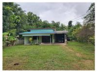 ที่ดินพร้อมสิ่งปลูกสร้างหลุดจำนอง ธ.ธนาคารออมสิน ครึ่ง เชียงของ เชียงราย