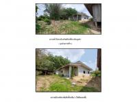 https://ww.ohoproperty.com/192703/ธนาคารออมสิน/ขายที่ดินพร้อมสิ่งปลูกสร้าง/ดอยลาน/เมืองเชียงราย/เชียงราย/