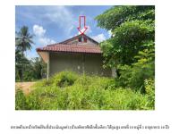 https://ww.ohoproperty.com/194183/ธนาคารออมสิน/ขายที่ดินพร้อมสิ่งปลูกสร้าง/ห้วยน้ำขาว/คลองท่อม/กระบี่/