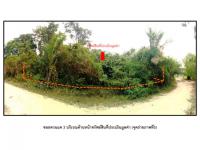 https://ww.ohoproperty.com/209983/ธนาคารออมสิน/ขายที่ดิน/เหนือคลอง/เหนือคลอง/กระบี่/