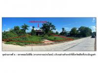 https://ww.ohoproperty.com/192699/ธนาคารออมสิน/ขายที่ดินพร้อมสิ่งปลูกสร้าง/ป่าพุทรา/ขาณุวรลักษบุรี/กำแพงเพชร/