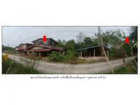 https://ww.ohoproperty.com/195911/ธนาคารออมสิน/ขายที่ดินพร้อมสิ่งปลูกสร้าง/ศรีสองรัก/เมืองเลย/เลย/