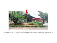 https://ww.ohoproperty.com/204149/ธนาคารออมสิน/ขายที่ดินพร้อมสิ่งปลูกสร้าง/ทรายขาว/วังสะพุง/เลย/