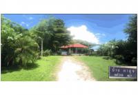 https://ww.ohoproperty.com/163109/ธนาคารออมสิน/ขายที่ดินพร้อมสิ่งปลูกสร้าง/เมือง/เมืองเลย/เลย/