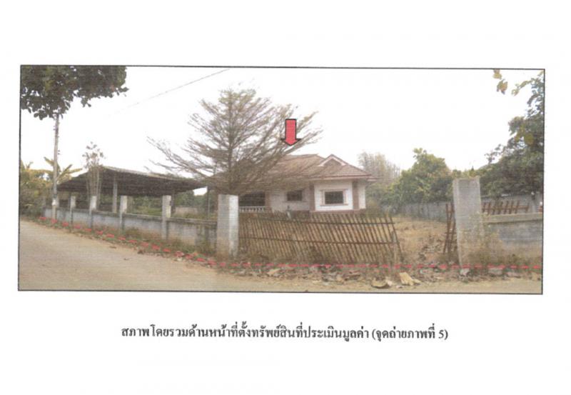 ป่าไผ่ ลี้ ลำพูน