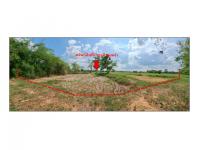 ที่ดินหลุดจำนอง ธ.ธนาคารออมสิน ดอนตาล ดอนตาล มุกดาหาร