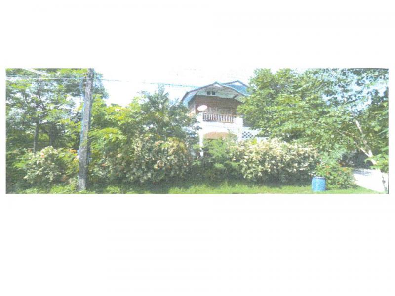 โคกม่วง โนนสัง หนองบัวลำภู
