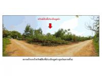 ที่ดินหลุดจำนอง ธ.ธนาคารออมสิน โนนสัง โนนสัง หนองบัวลำภู