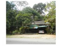 https://ww.ohoproperty.com/161675/ธนาคารออมสิน/ขายที่ดินพร้อมสิ่งปลูกสร้าง/โต๊ะเด็ง/สุไหงปาดี/นราธิวาส/