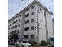 https://ww.ohoproperty.com/219509/ธนาคารออมสิน/ขายคอนโด/อาคารชุด/ห้องชุด/บางคูวัด/เมืองปทุมธานี/ปทุมธานี/