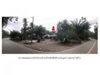 https://ww.ohoproperty.com/194653/ธนาคารออมสิน/ขายที่ดินพร้อมสิ่งปลูกสร้าง/กำแพง/ละงู/สตูล/
