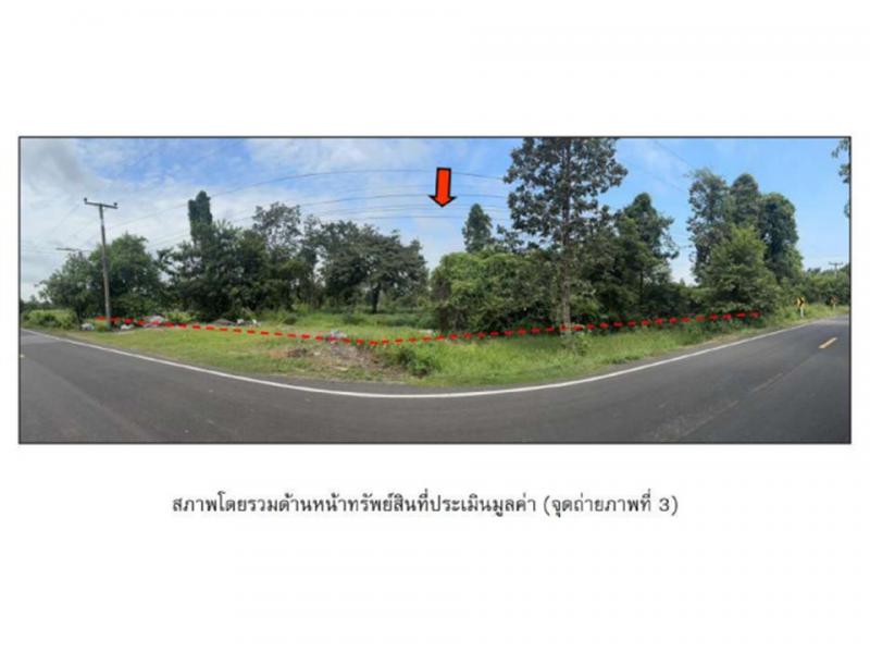 โพธิ์ไทร พิบูลมังสาหาร อุบลราชธานี