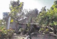 บ้านเดี่ยวหลุดจำนอง ธ.ธนาคารอาคารสงเคราะห์ ออนใต้ สันกำแพง เชียงใหม่