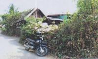 https://ww.ohoproperty.com/166945/ธนาคารอาคารสงเคราะห์/ขายบ้านเดี่ยว/ชมพู/เมืองลำปาง/ลำปาง/
