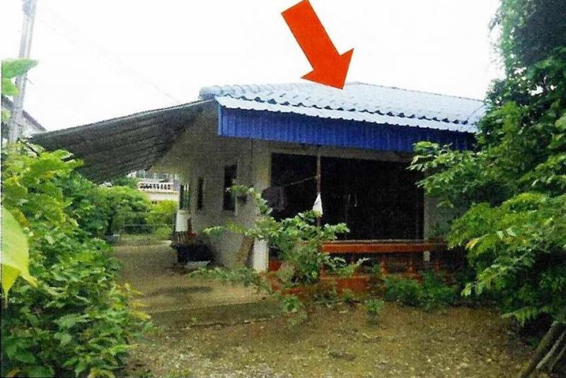 ต้นธง เมืองลำพูน ลำพูน