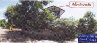 https://ww.ohoproperty.com/140439/ธนาคารอาคารสงเคราะห์/ขายบ้านเดี่ยว/นาม่วง/ประจักษ์ศิลปาคม/อุดรธานี/