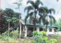 https://ww.ohoproperty.com/143639/ธนาคารอาคารสงเคราะห์/ขายบ้านเดี่ยว/อุโมงค์/เมืองลำพูน/ลำพูน/