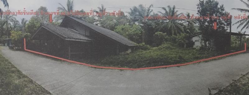 คลองท่อมใต้ คลองท่อม กระบี่