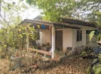 https://ww.ohoproperty.com/193205/ธนาคารอาคารสงเคราะห์/ขายบ้านเดี่ยว/กล้วยแพะ/เมืองลำปาง/ลำปาง/