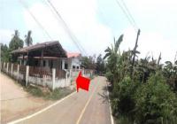 https://ww.ohoproperty.com/193480/ธนาคารอาคารสงเคราะห์/ขายบ้านเดี่ยว/โพธิ์ชัย/เมืองหนองบัวลำภู/หนองบัวลำภู/