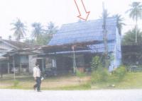 https://ww.ohoproperty.com/197851/ธนาคารอาคารสงเคราะห์/ขายบ้านเดี่ยว/ปะลุกาสาเมาะ/บาเจาะ/นราธิวาส/