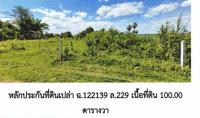 ที่ดินหลุดจำนอง ธ.ธนาคารอาคารสงเคราะห์ ในเมือง เมืองชัยภูมิ ชัยภูมิ