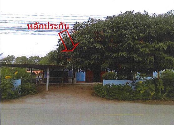 หนองภัยศูนย์ เมืองหนองบัวลำภู หนองบัวลำภู