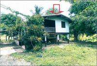https://ww.ohoproperty.com/208643/ธนาคารอาคารสงเคราะห์/ขายบ้านเดี่ยว/หมากหญ้า/หนองวัวซอ/อุดรธานี/