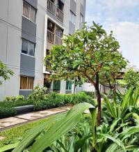 https://ww.ohoproperty.com/212609/ธนาคารอาคารสงเคราะห์/ขายคอนโด/รังสิต/ธัญบุรี/ปทุมธานี/