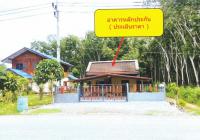 https://ww.ohoproperty.com/217111/ธนาคารอาคารสงเคราะห์/ขายบ้านเดี่ยว/หลักช้าง//นครศรีธรรมราช/