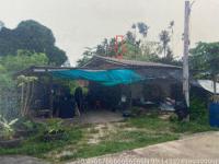 https://ww.ohoproperty.com/219939/ธนาคารอาคารสงเคราะห์/ขายบ้านเดี่ยว/วังไผ่/เมืองชุมพร/ชุมพร/